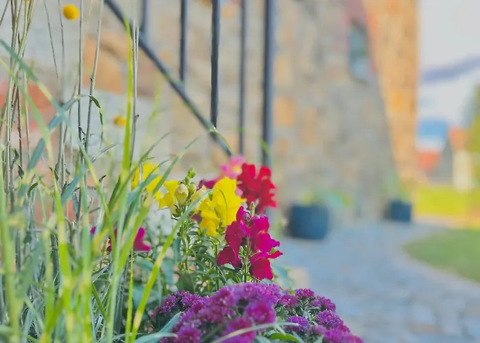 Aubrac-biohof Koenigshainer Berge Konigshain